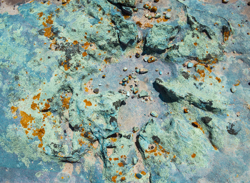Tidal Terrain 1