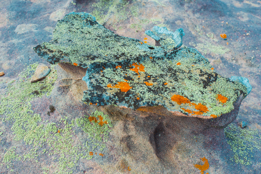 Tidal Terrain 2