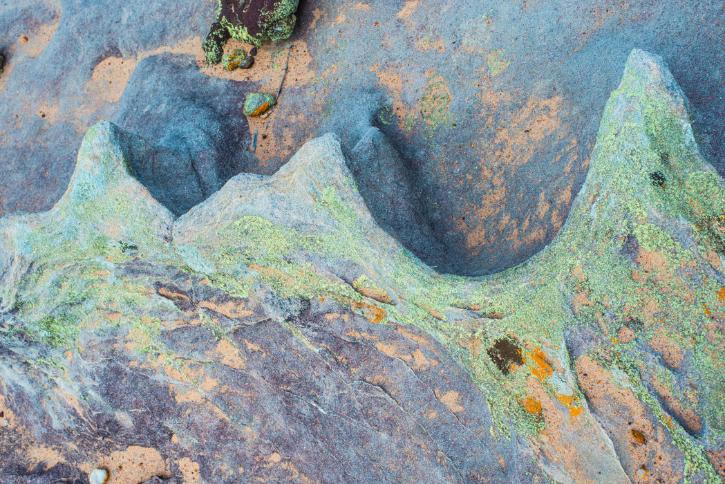 Tidal Terrain 3