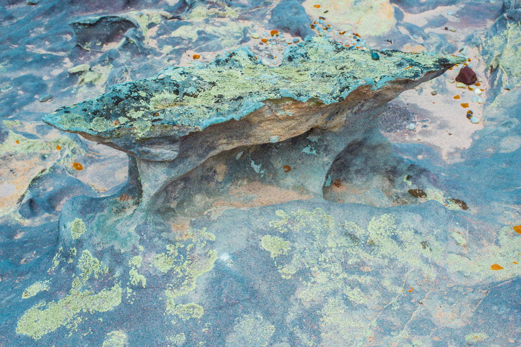Tidal Terrain 4