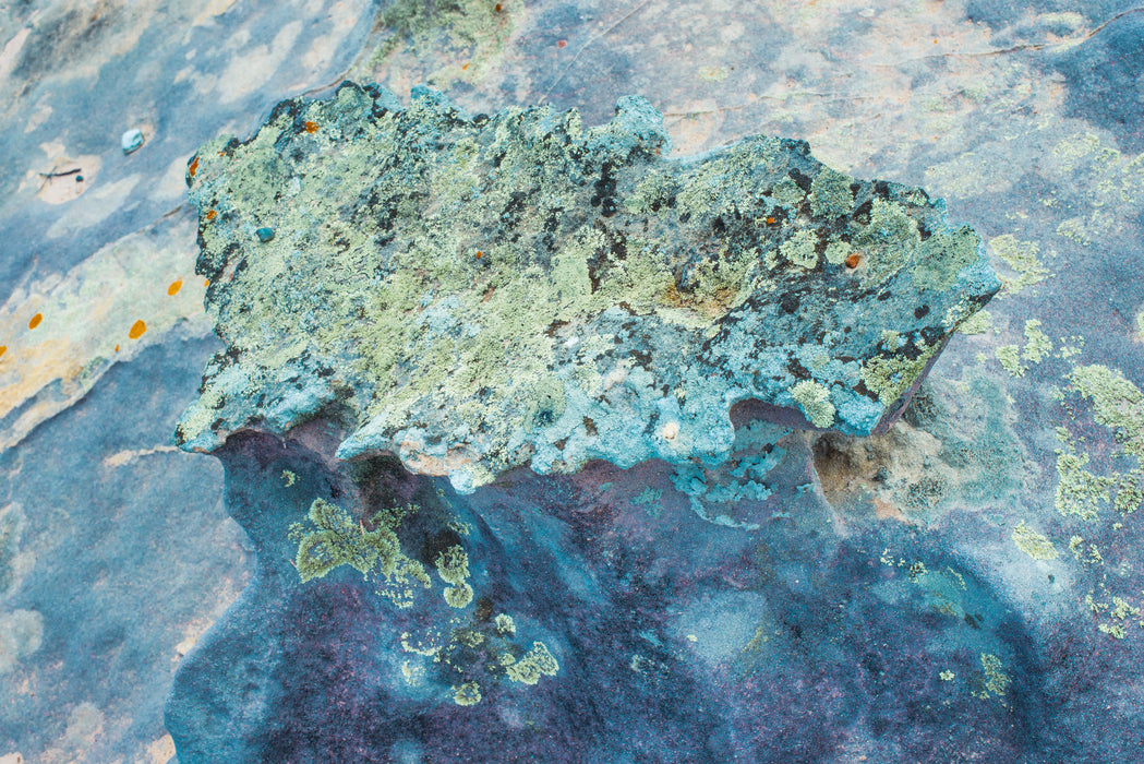 Tidal Terrain 5