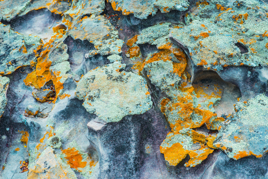 Tidal Terrain 8