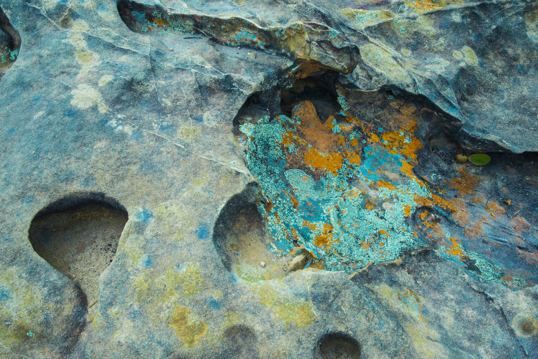 Tidal Terrain 9