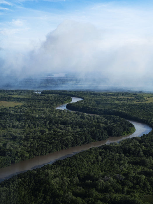 River of Silence