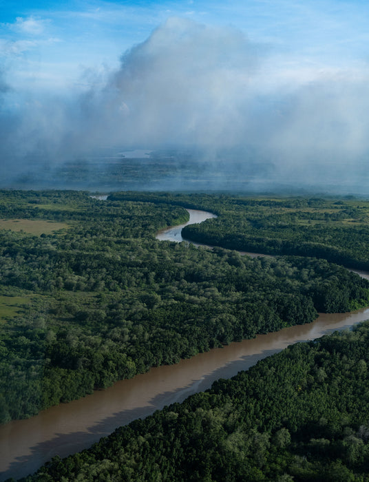 River of Silence