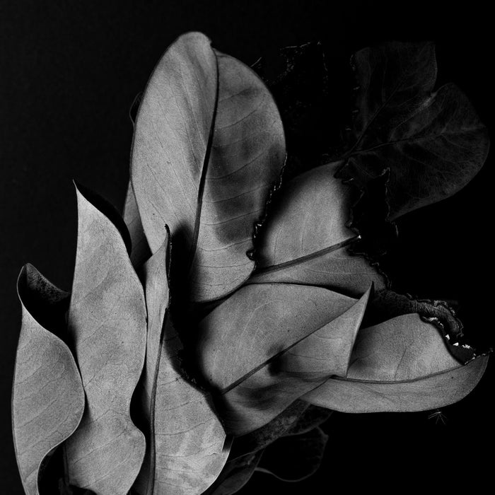 Impermanence 2