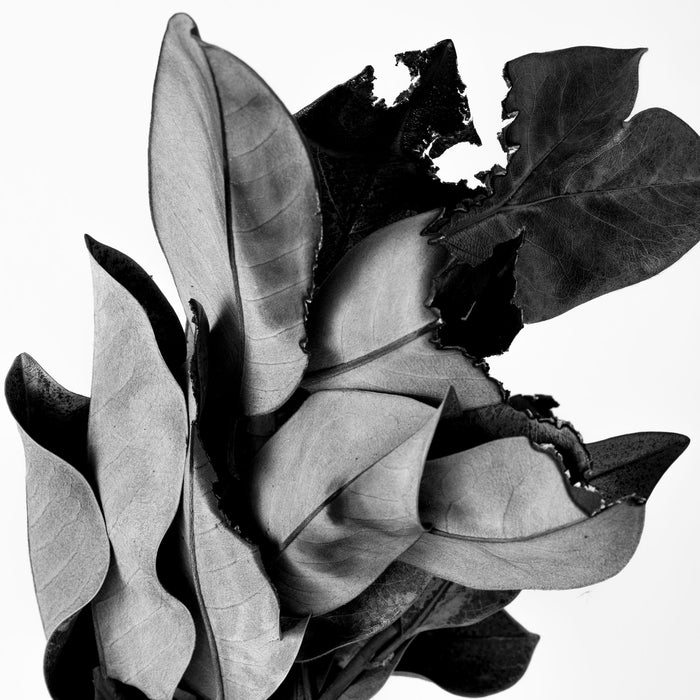 Impermanence