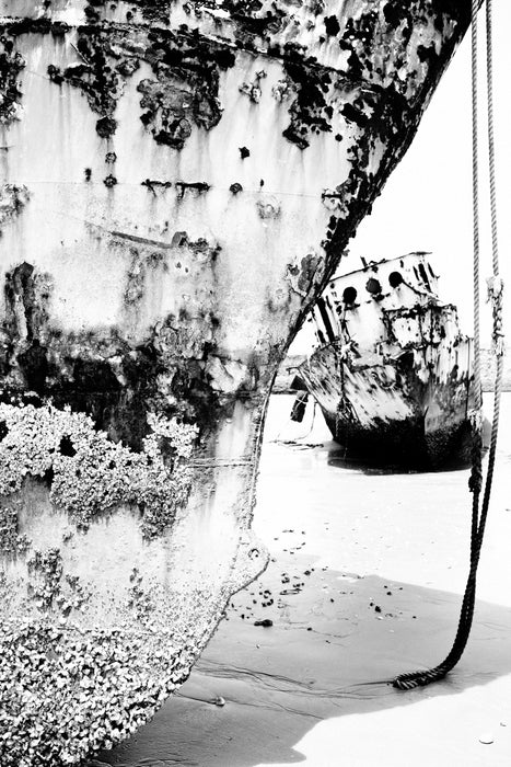 Encrusted, fine art photograph by WESDEN Studio