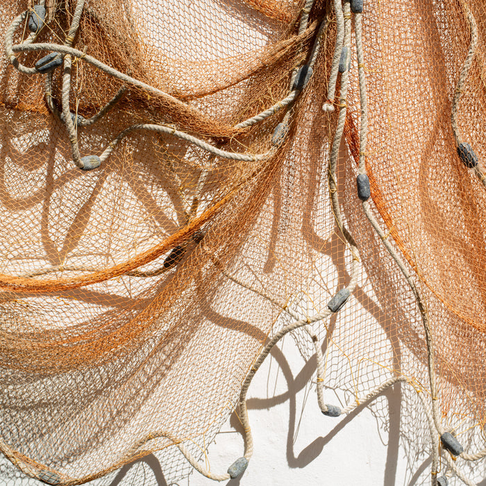 Net and Shadow, fine art photograph by WESDEN Studio