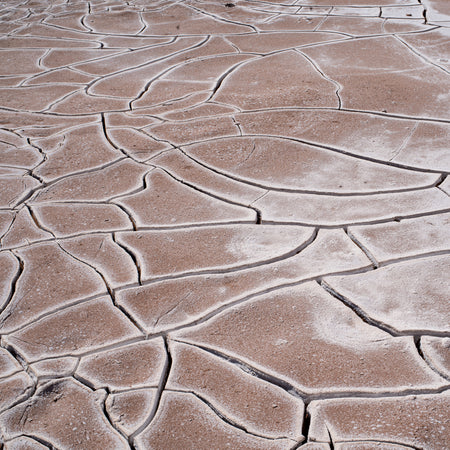 Dry Mosaic, fine art photograph by WESDEN Studio