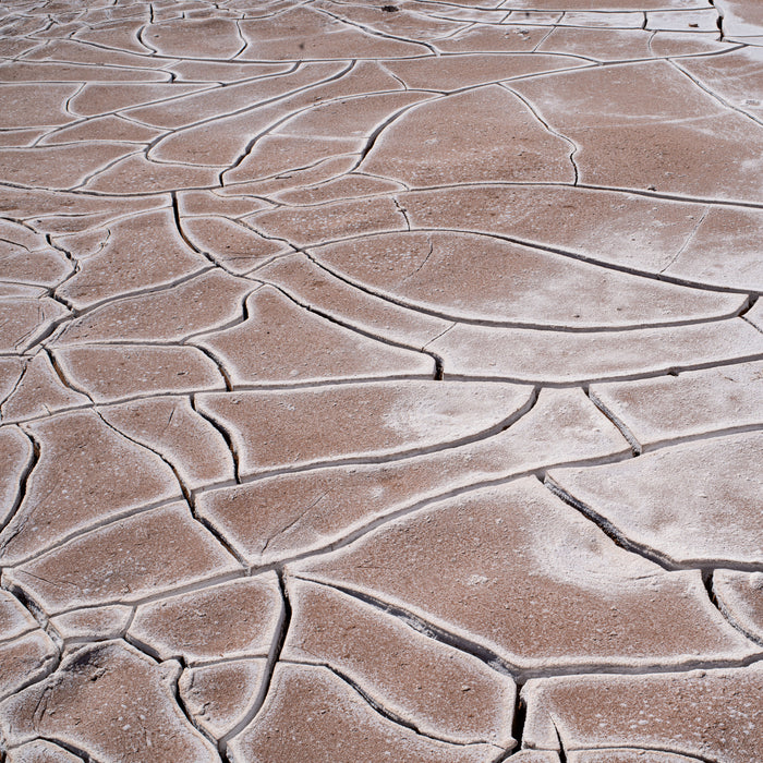 Dry Mosaic, fine art photograph by WESDEN Studio