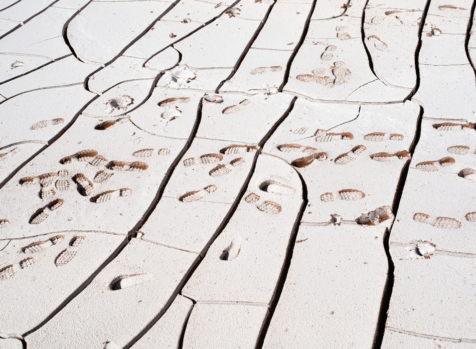 Evidence, fine art photograph by WESDEN Studio