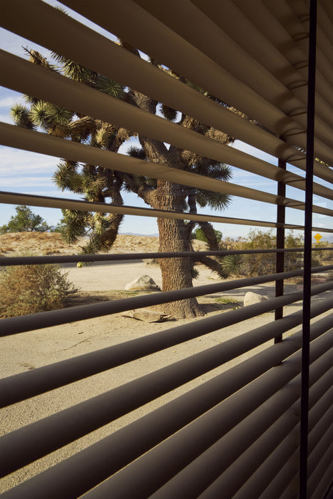Through the Slats, fine art photograph by WESDEN Studio
