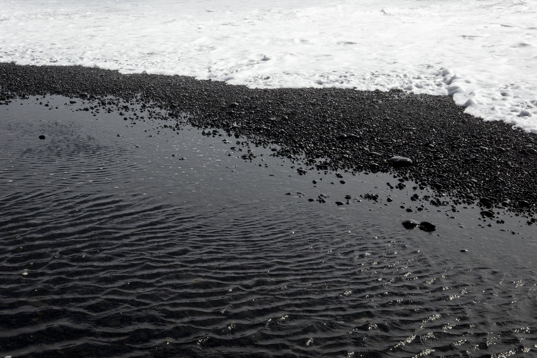 Black Tide