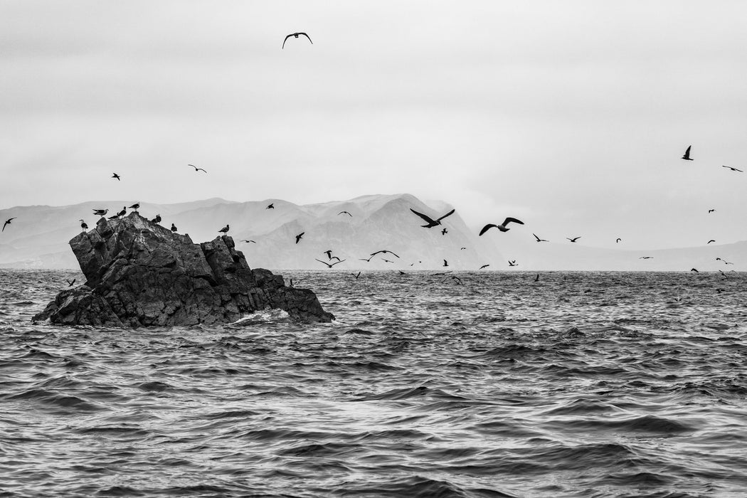 The Gathering