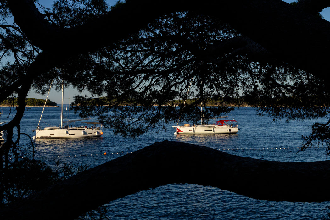 Pines and Masts, fine art photograph by WESDEN Studio