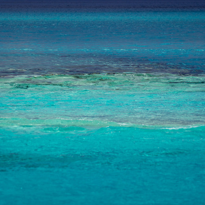 Shoal, fine art photograph by WESDEN Studio