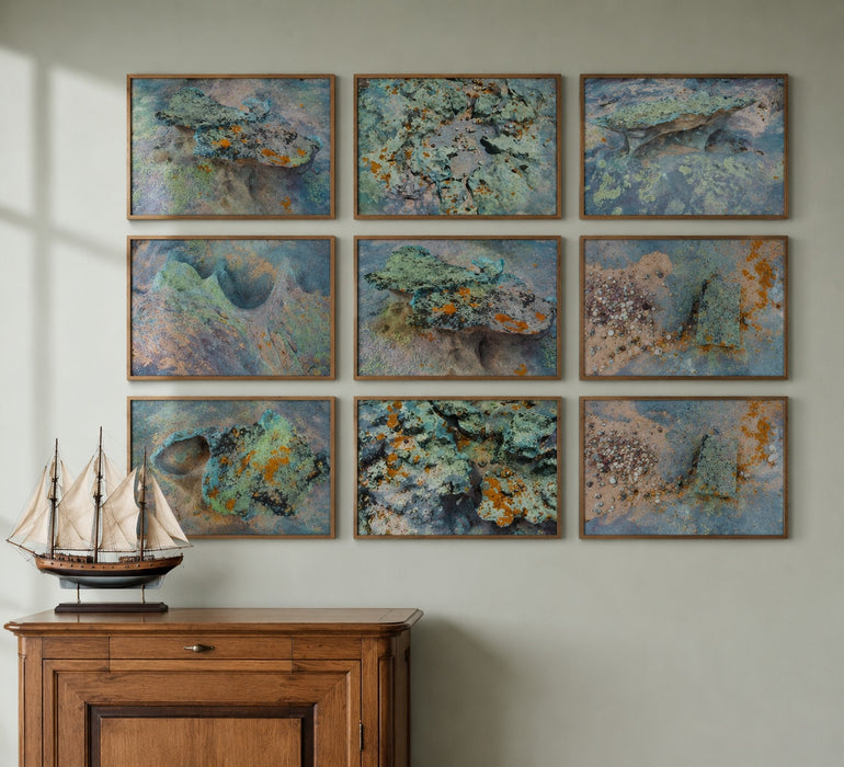 Tidal Terrain 9