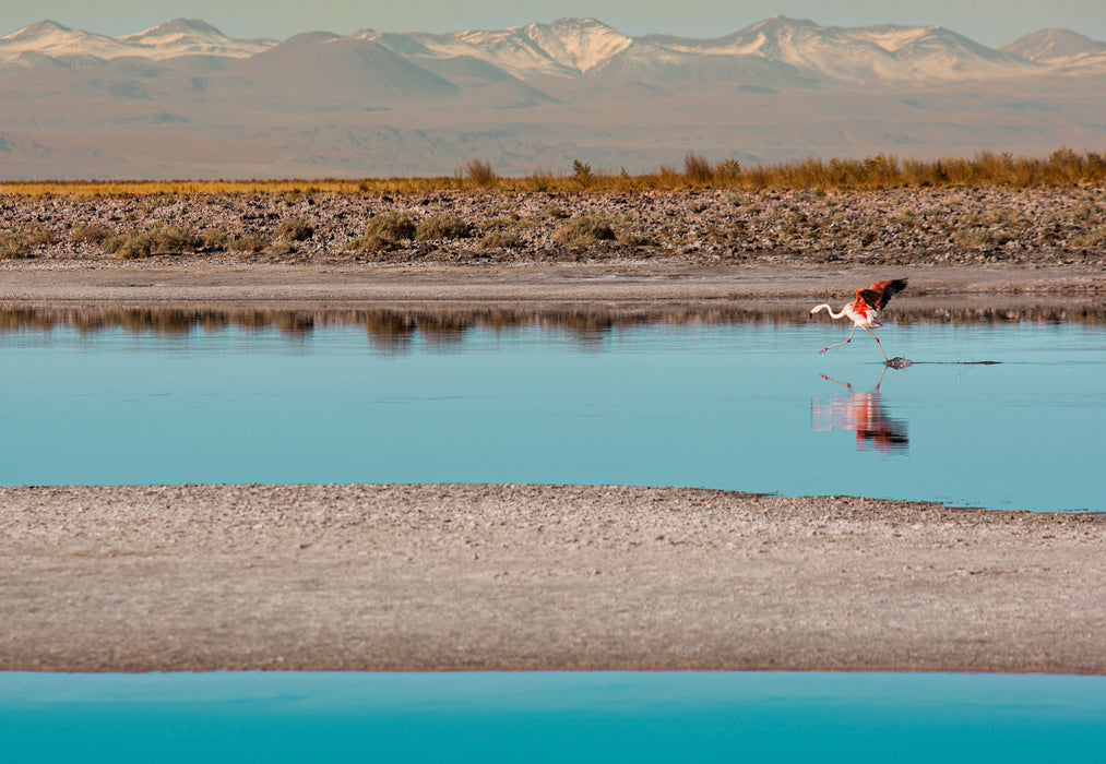 Pink Ascent, fine art photograph by WESDEN Studio