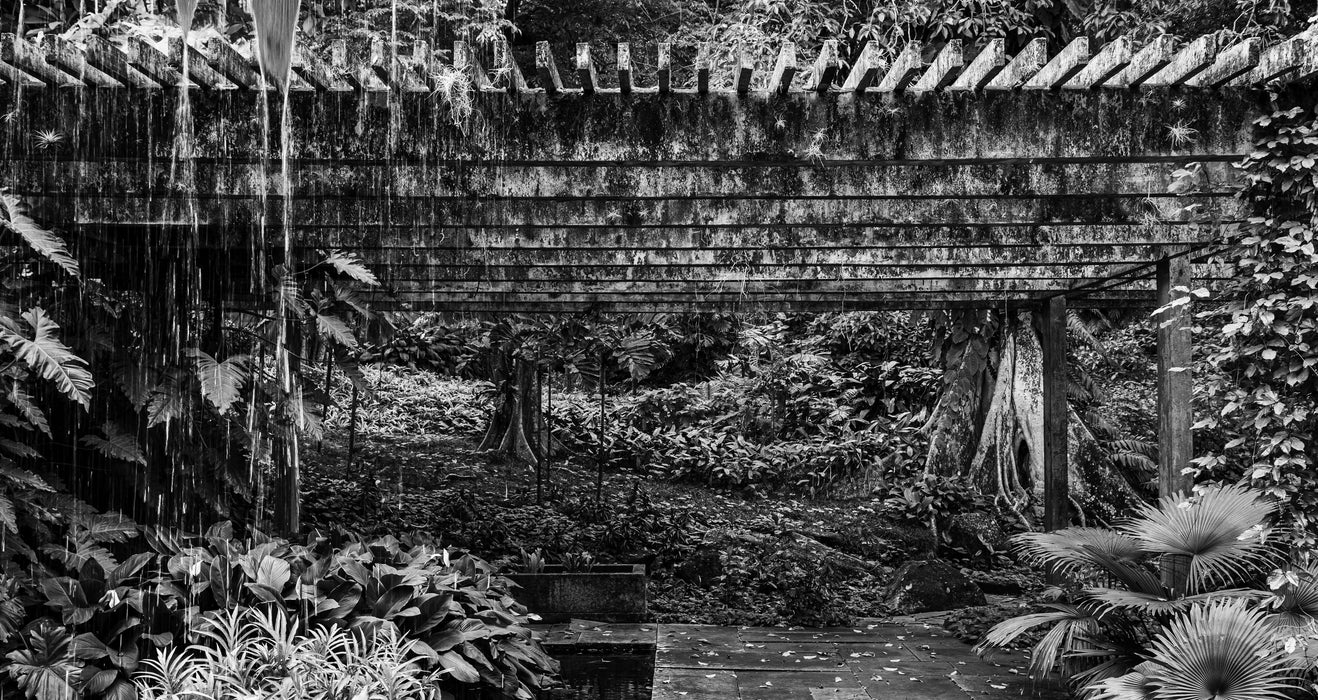 Rain Through the Garden