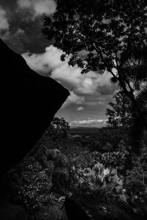 Edge of the Wild