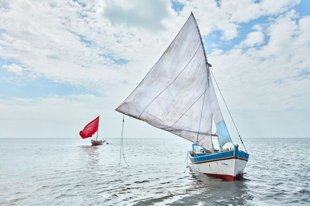 White and Red, fine art photograph by WESDEN Studio