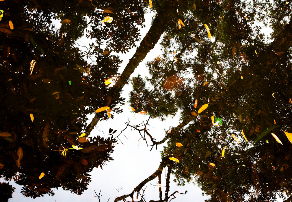 Fallen Sky, fine art photograph by WESDEN Studio