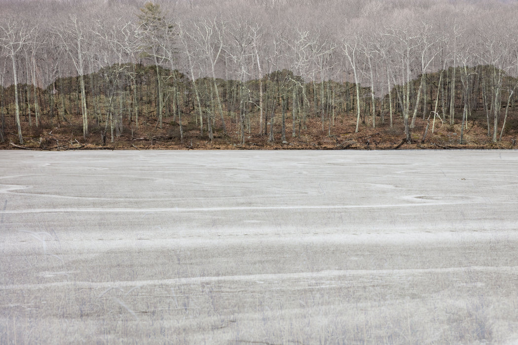 Winter Echoes