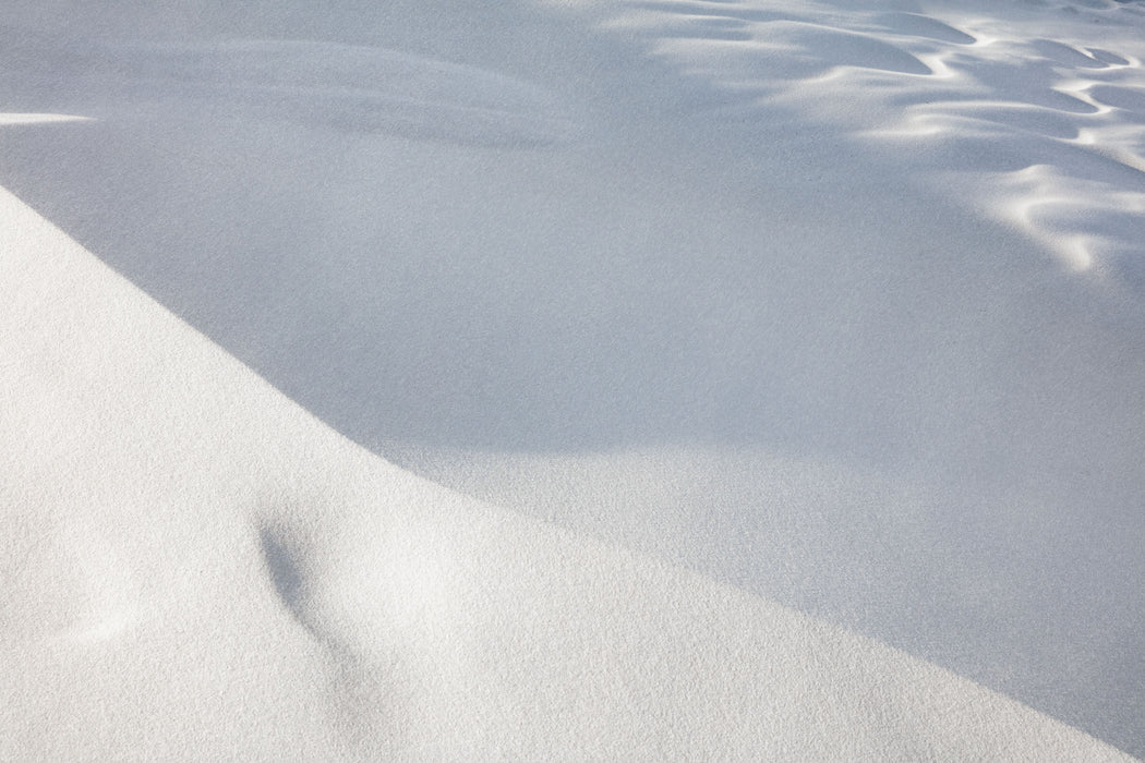 White Silence