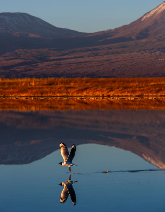 Andean Mirror, fine art photograph by WESDEN Studio