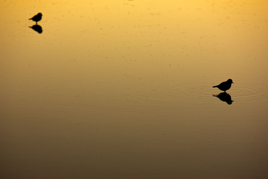 One Ripple, fine art photograph by WESDEN Studio