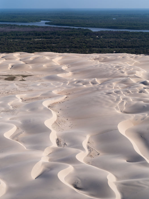 Field of Silence, aerial fine art photograph by WESDEN Studio