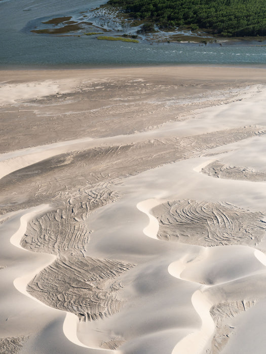Mangrove Edge, aerial fine art photograph by WESDEN Studio
